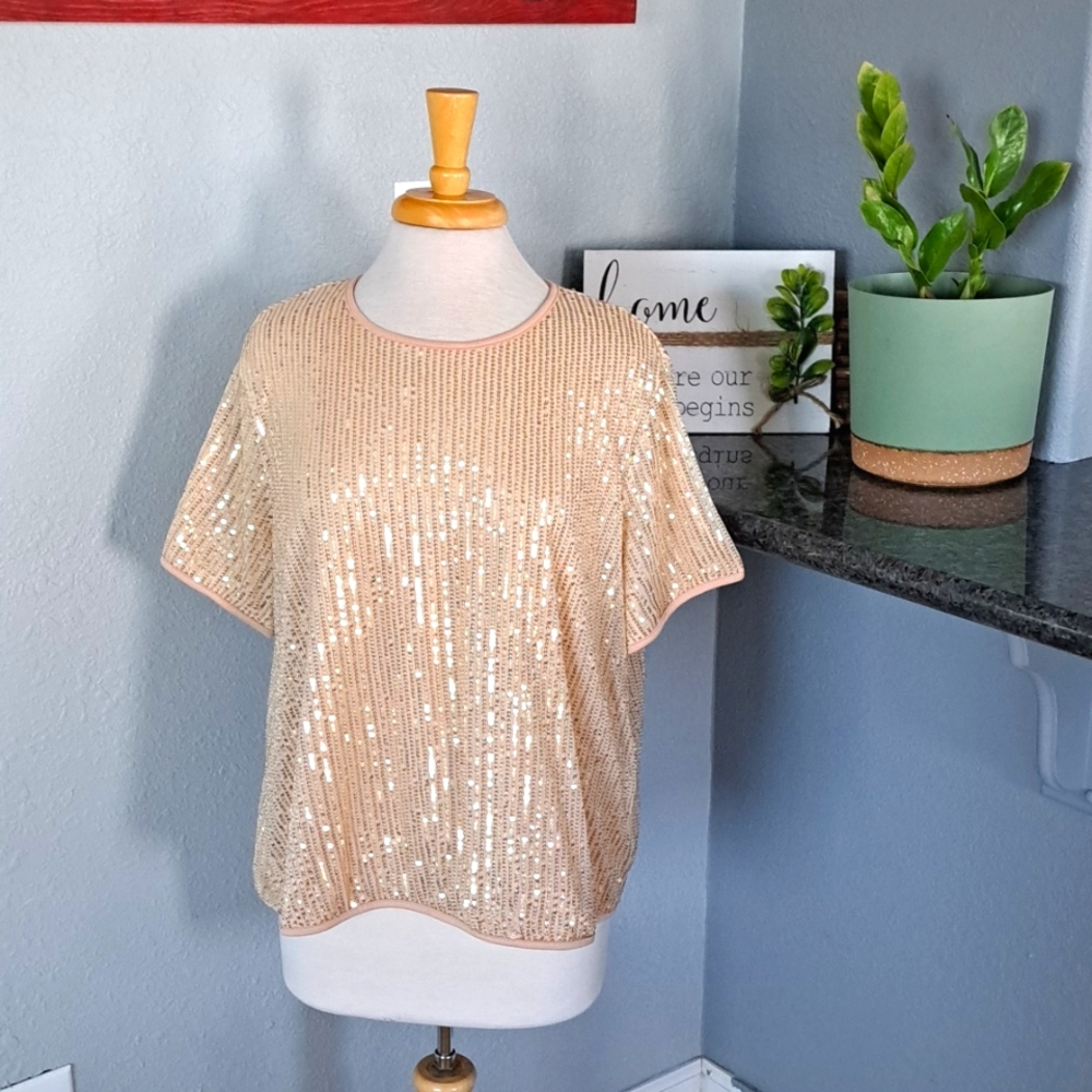 SHEIN Curve Sequin Top | Size 0XL
